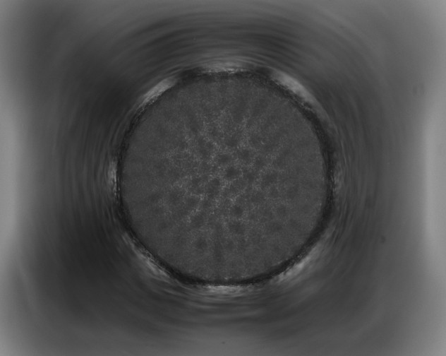 X0000087320825200704201109