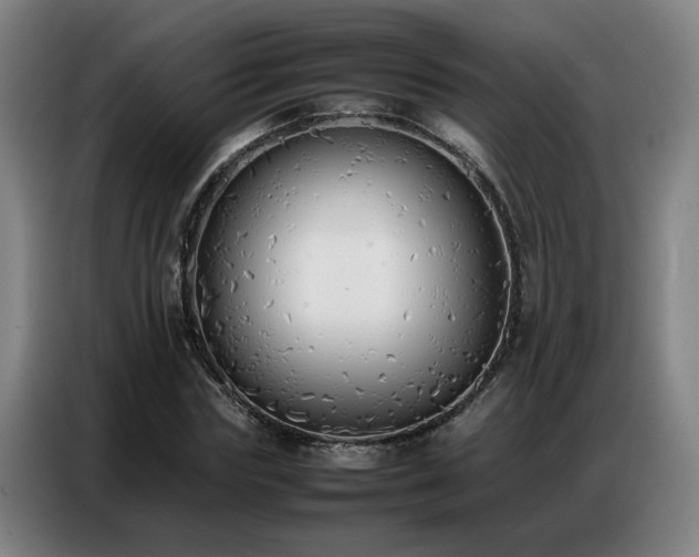 X0000087320827200704201109