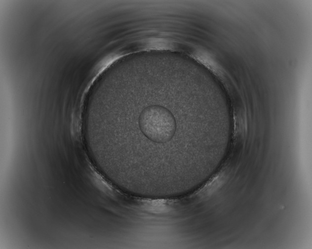 X0000087320828200704201109