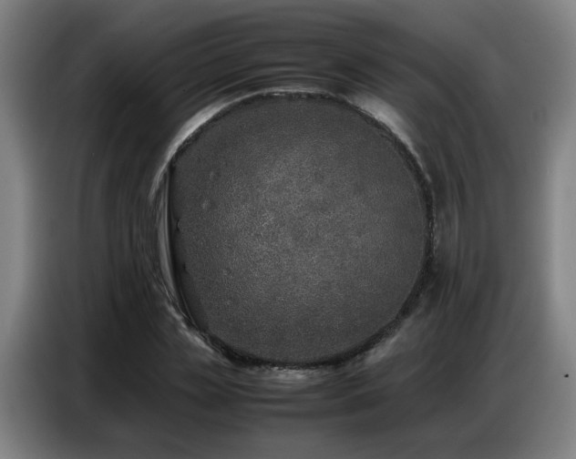 X0000087320829200704201109