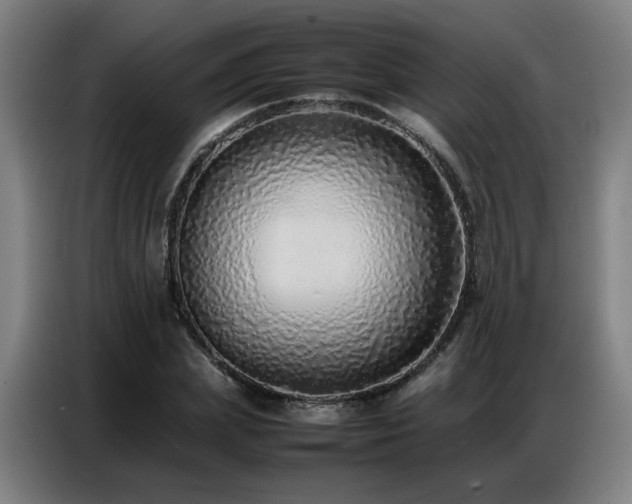 X0000087320831200704201109