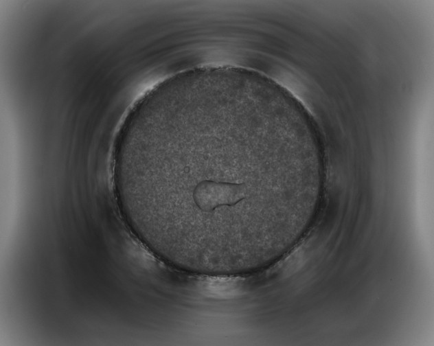 X0000087320832200704201109