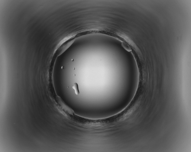 X0000087320834200704201109