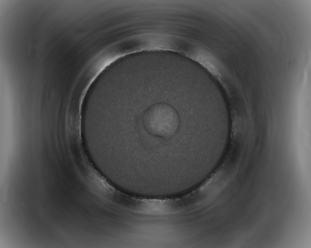 X0000087320836200704201109