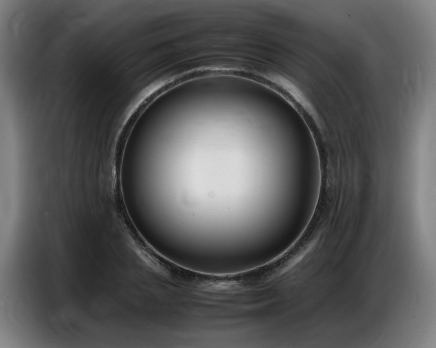 X0000087320837200704201109