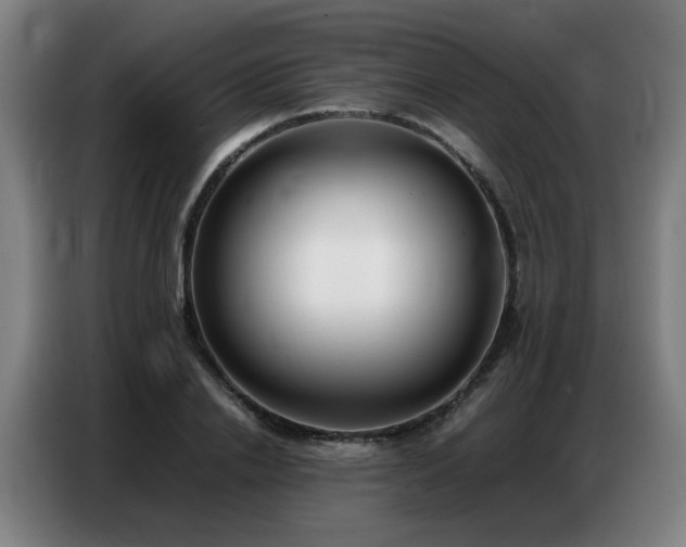 X0000087320838200704201109