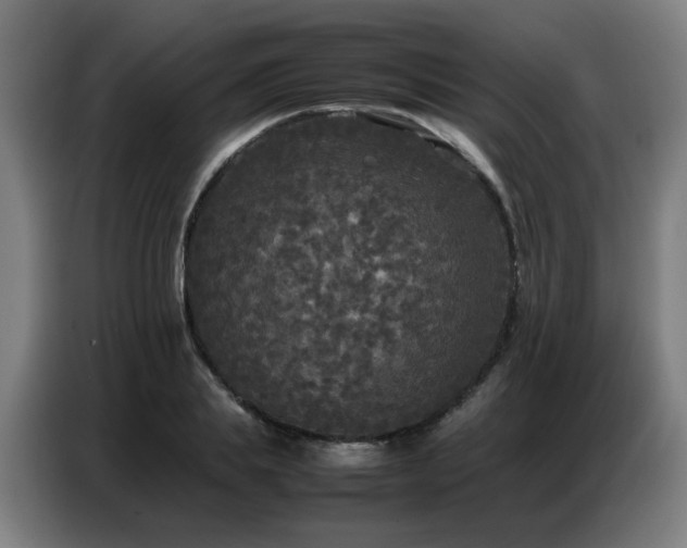 X0000087320839200704201109