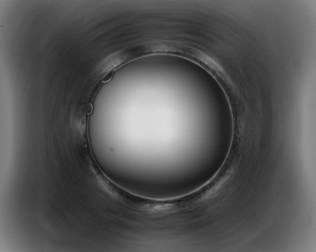 X0000087320841200704201109
