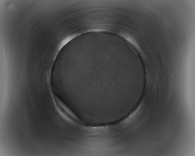 X0000087320842200704201109