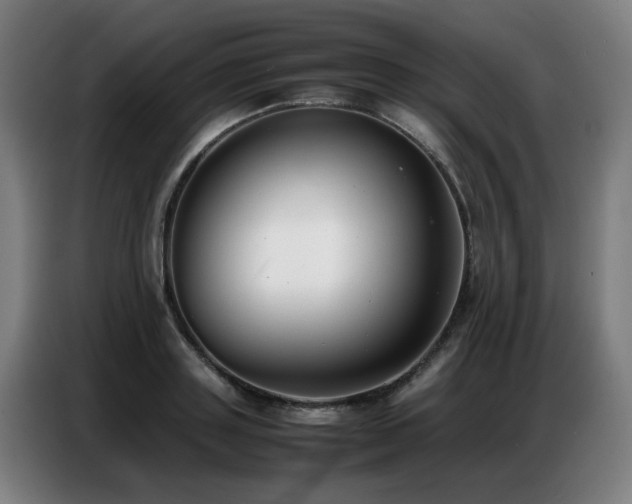 X0000087320843200704201109
