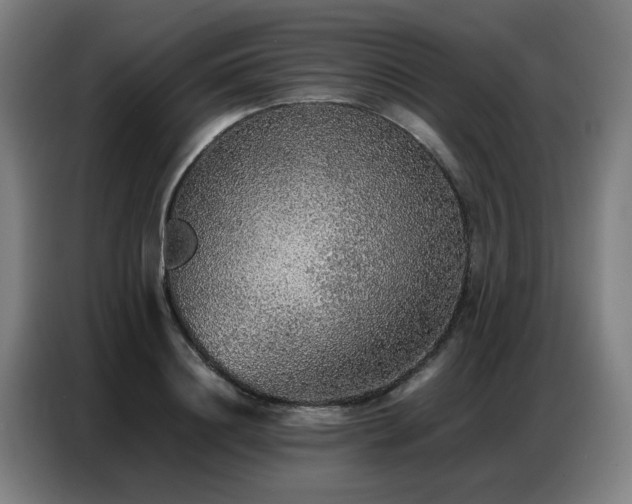 X0000087320844200704201109