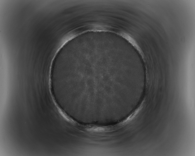 X0000087320845200704201109