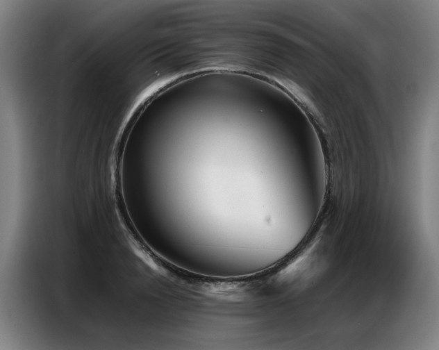 X0000087320846200704201109