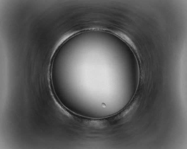 X0000087320847200704201109