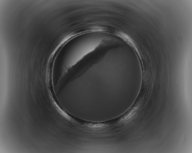 X0000087320851200704201109