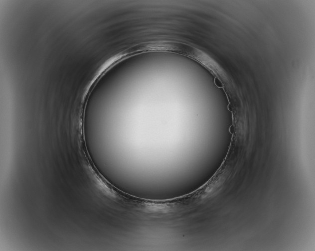 X0000087320852200704201109