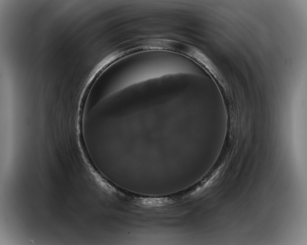 X0000087320853200704201109