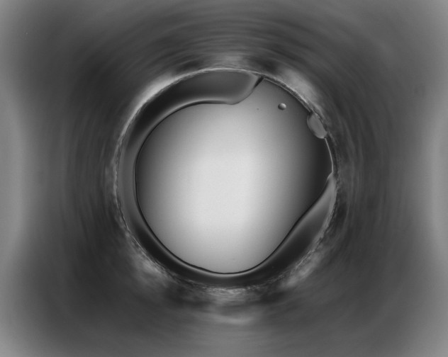 X0000087320854200704201109