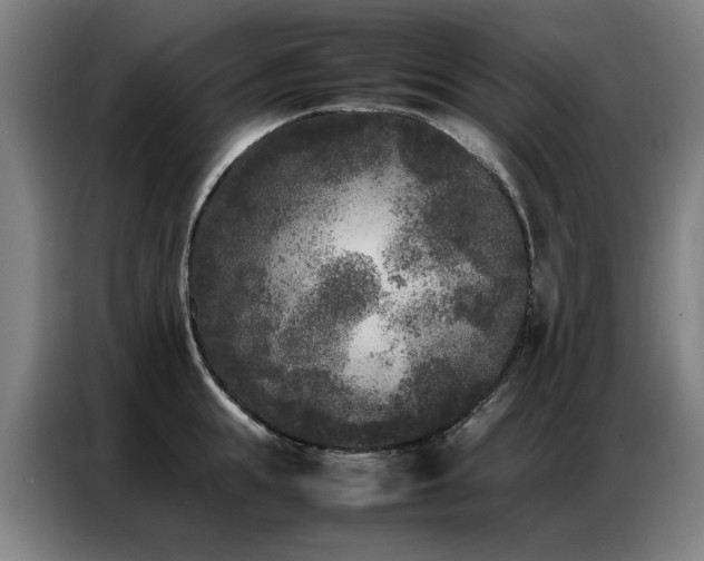 X0000087320855200704201109