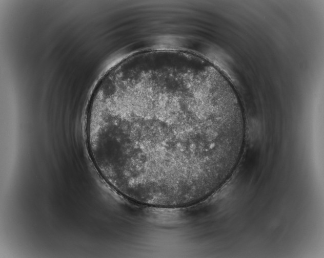 X0000087320856200704201109