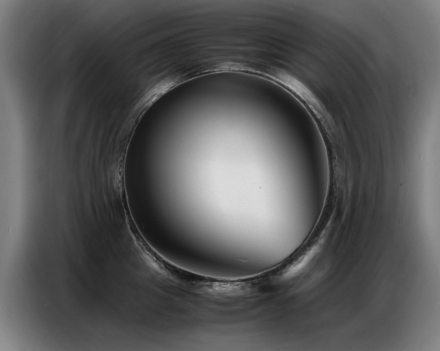X0000087320857200704201109