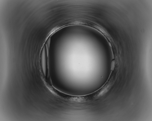 X0000087320858200704201109