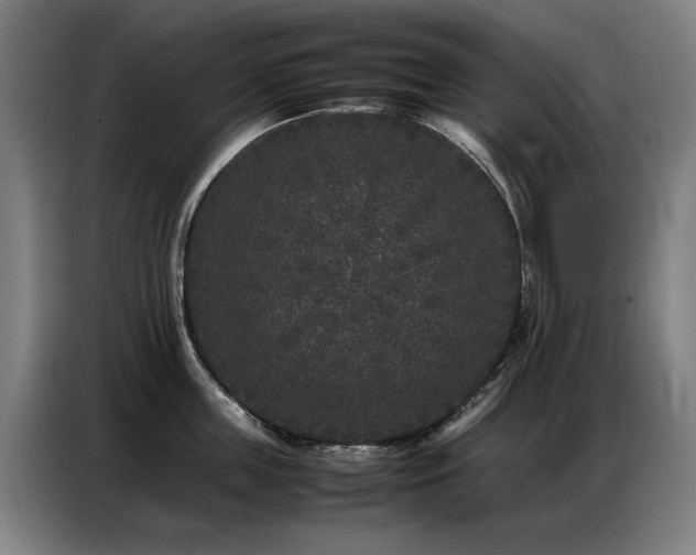 X0000087320859200704201109
