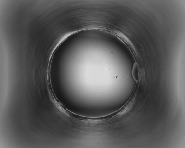 X0000087320860200704201109