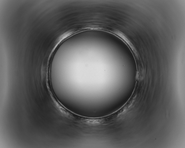 X0000087320861200704201109