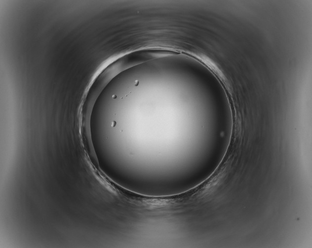 X0000087320862200704201109