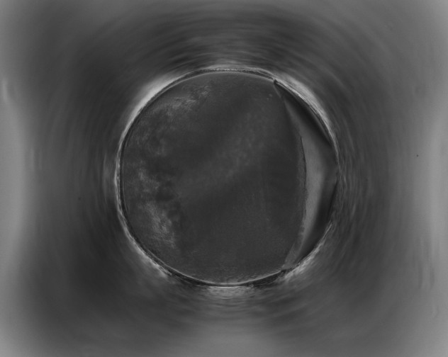 X0000087320863200704201109