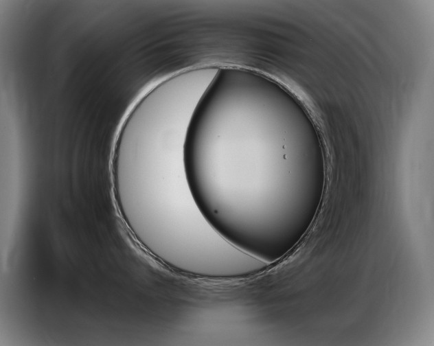 X0000087320864200704201109
