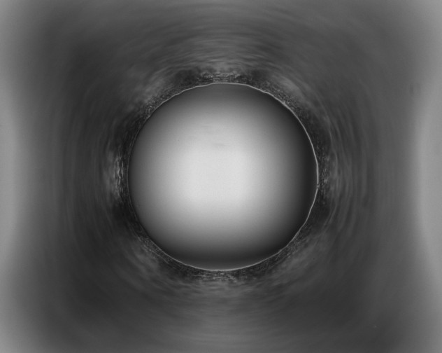 X0000087320866200704201108