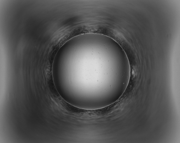 X0000087320867200704201108