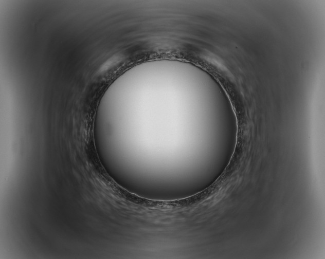 X0000087320869200704201108