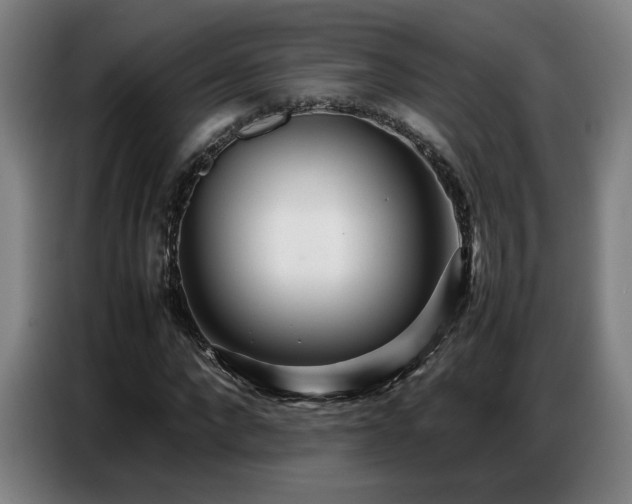 X0000087320872200704201108