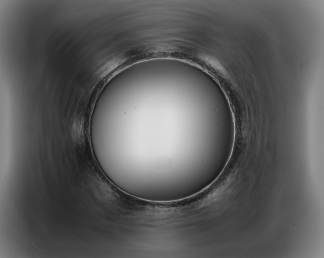 X0000087320873200704201108