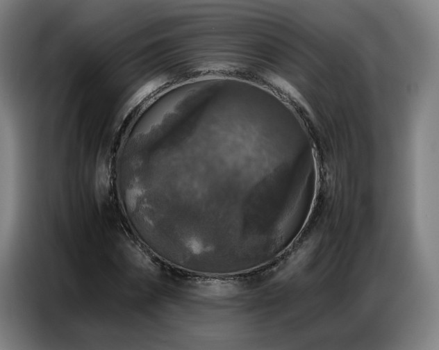 X0000087320874200704201108