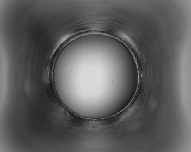 X0000087320875200704201108
