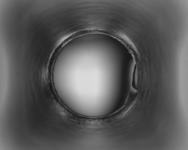 X0000087320876200704201108