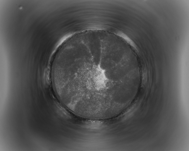 X0000087320878200704201108