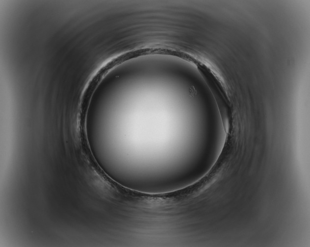 X0000087320880200704201108