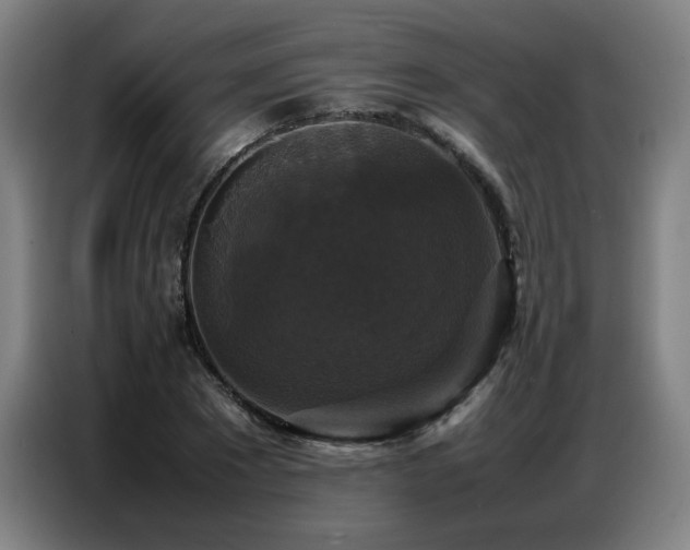 X0000087320881200704201108