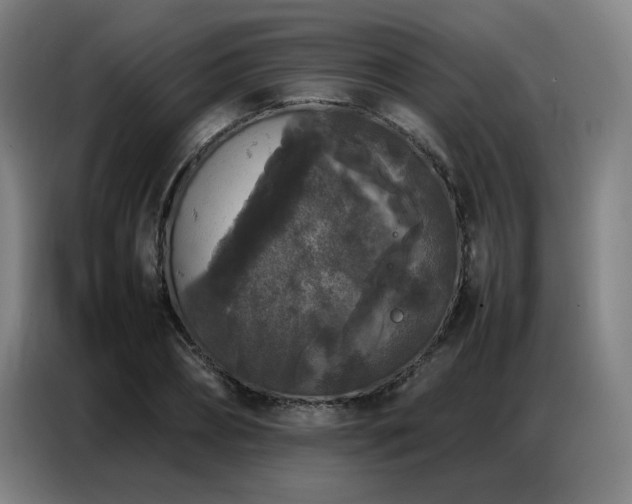 X0000087320882200704201108