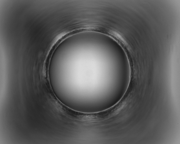 X0000087320883200704201108