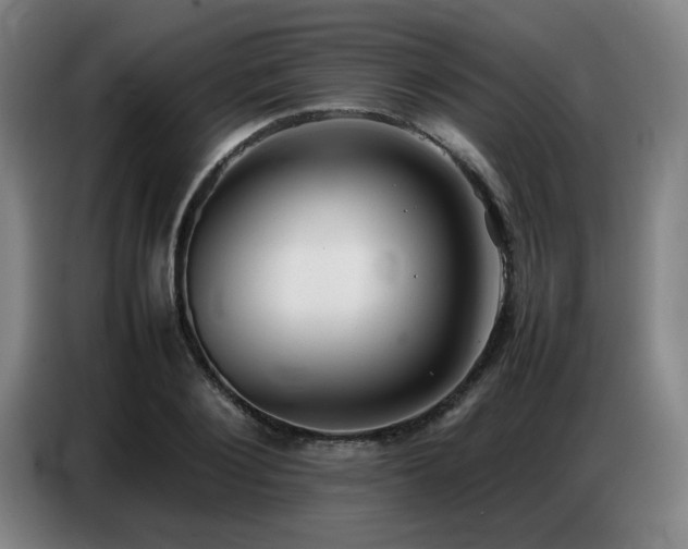 X0000087320884200704201108