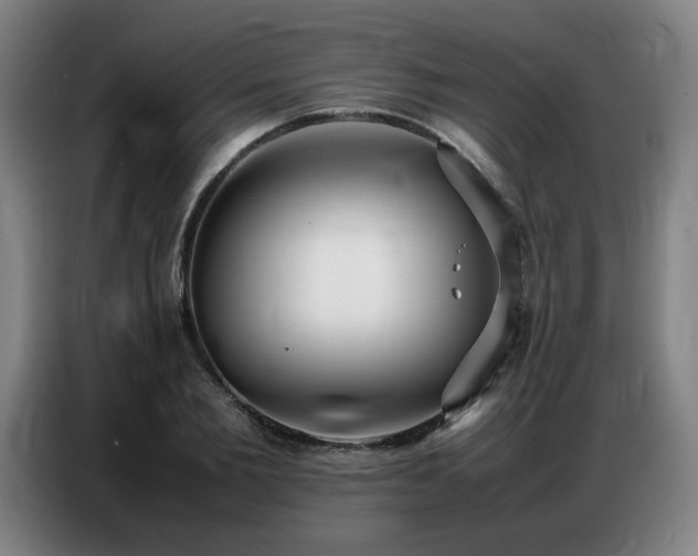 X0000087320885200704201108
