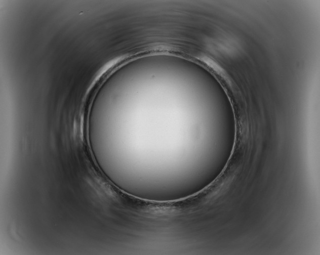 X0000087320886200704201108