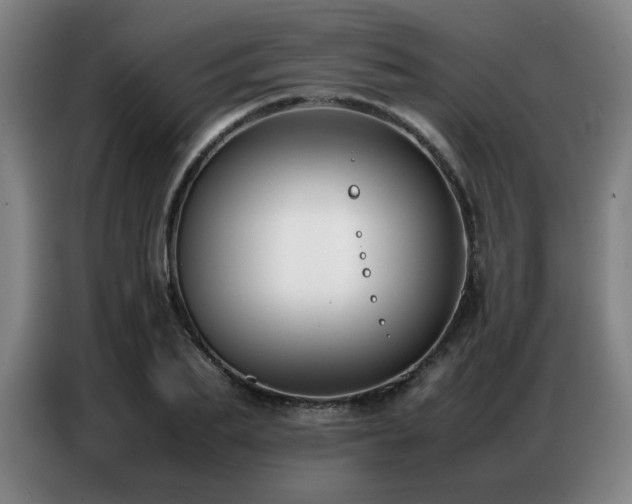 X0000087320887200704201108