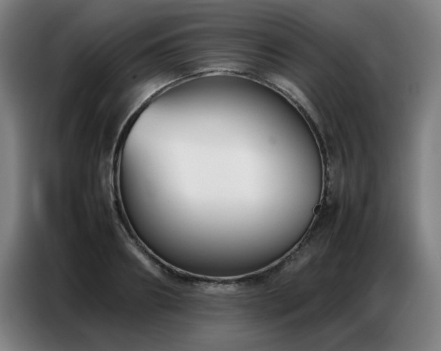 X0000087320890200704201108